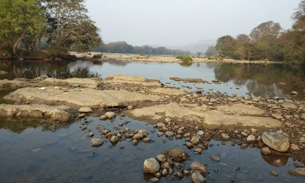 Cauvery Wildlife Sanctuary