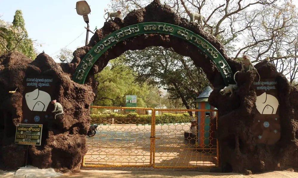 Gadag Zoo Entry View