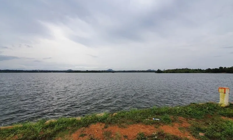 Thonnur Lake