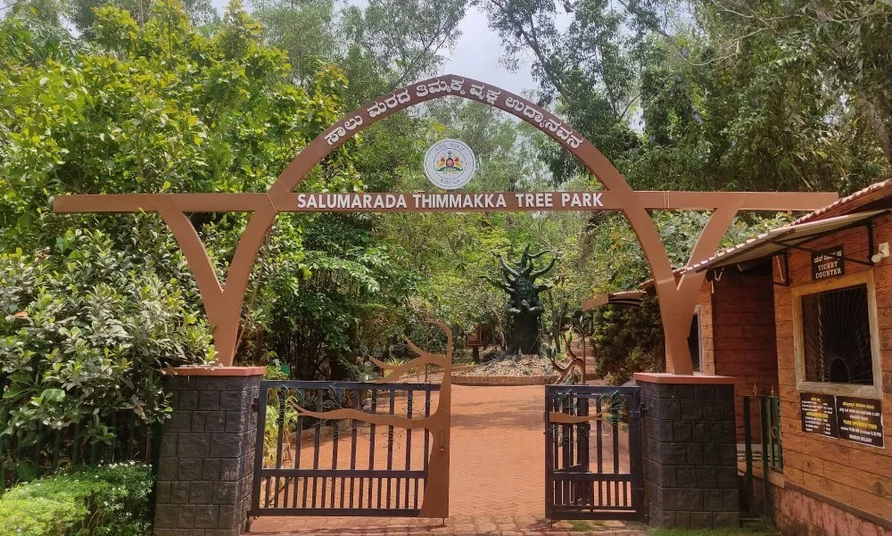 Salumarada Thimmakka Tree Park Udupi