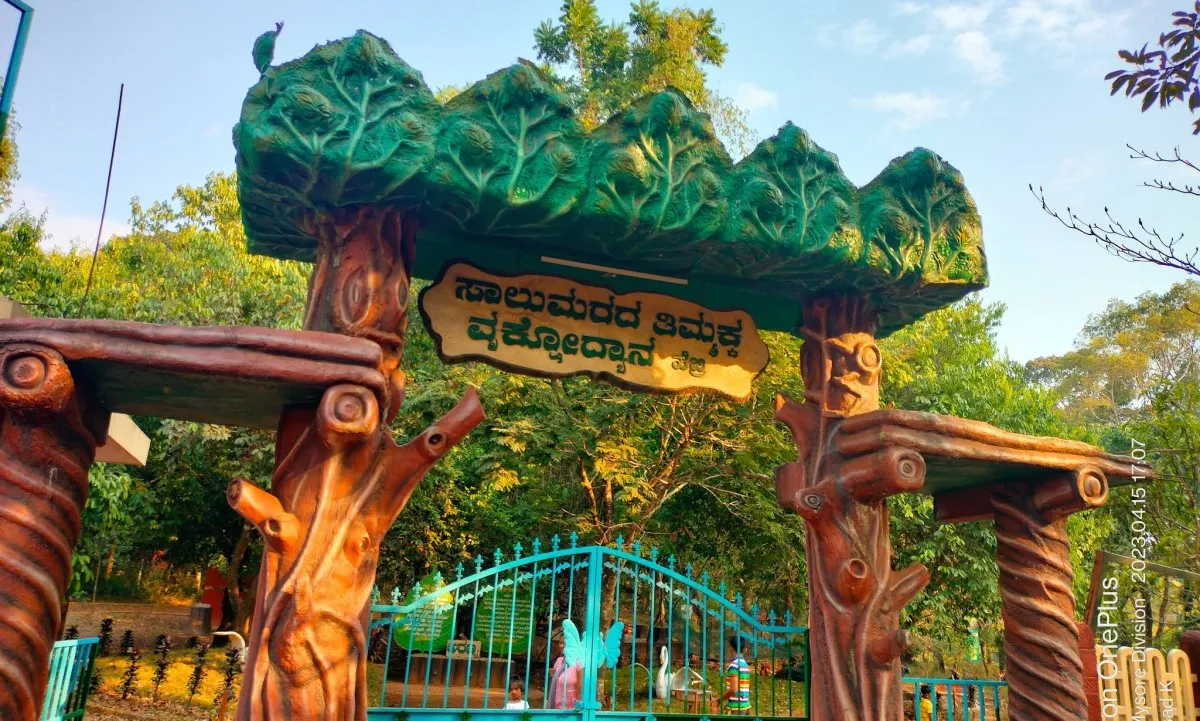 salumarada thimmakka park hebri